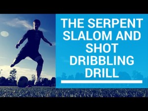 Serpent Slalom and Shot Dribbling Drill